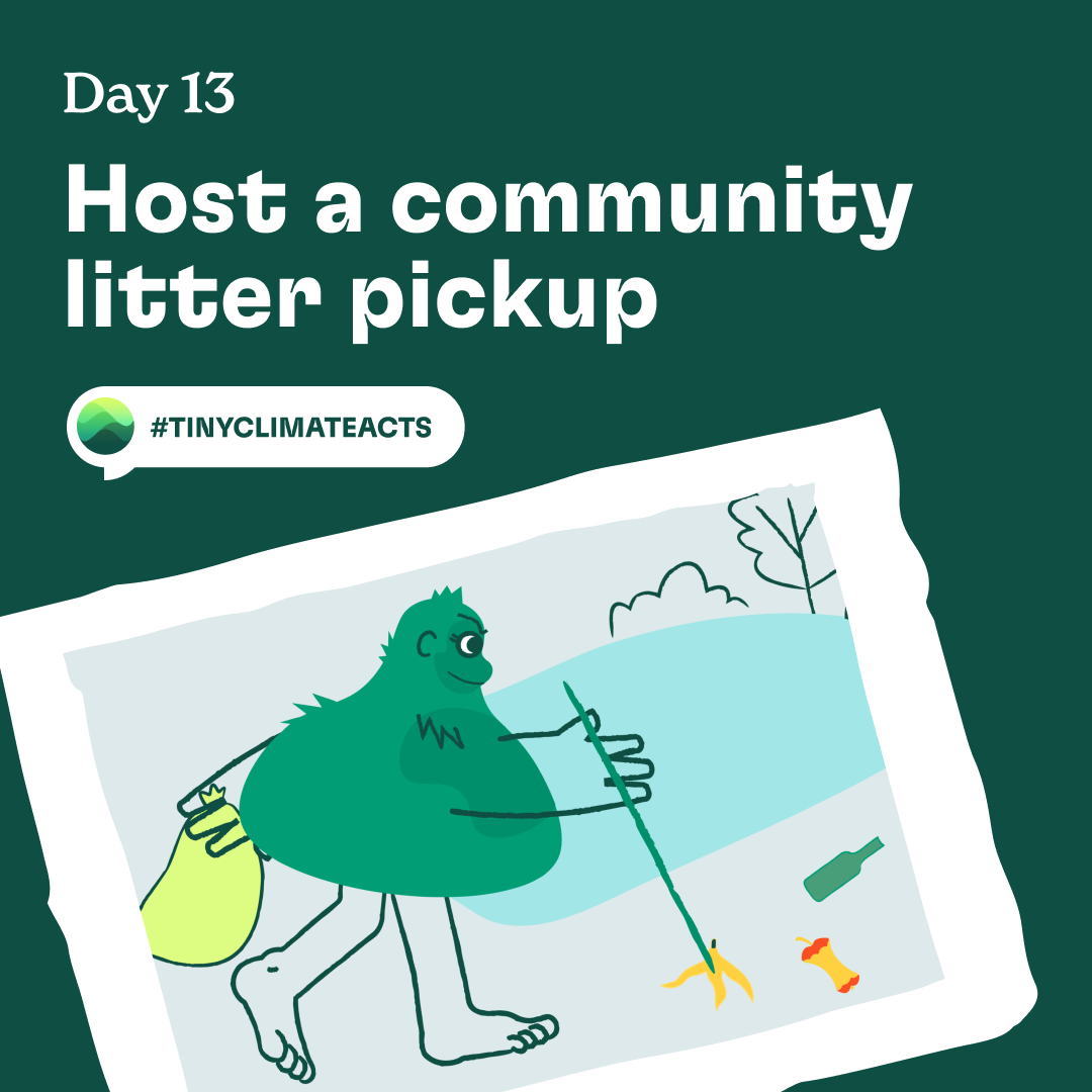 Day 13: Host a community litter pickup