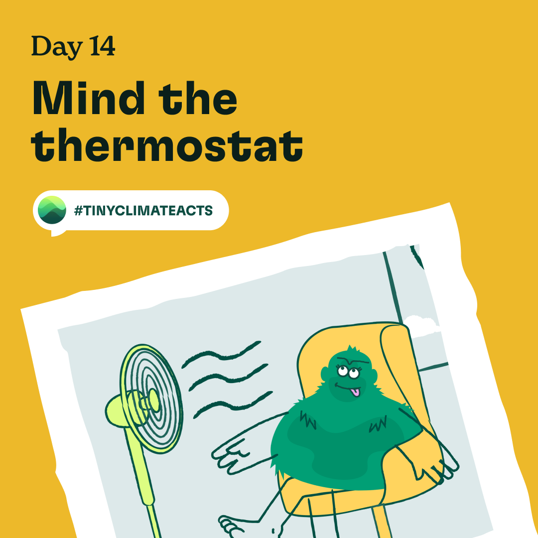 Day 14: Mind the thermostat