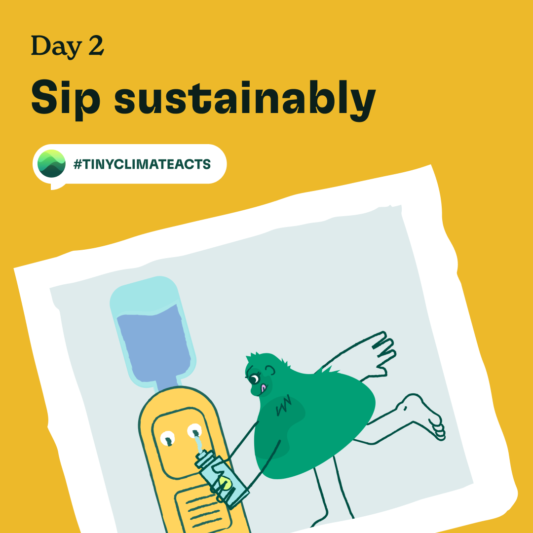 Day 2: Sip sustainably
