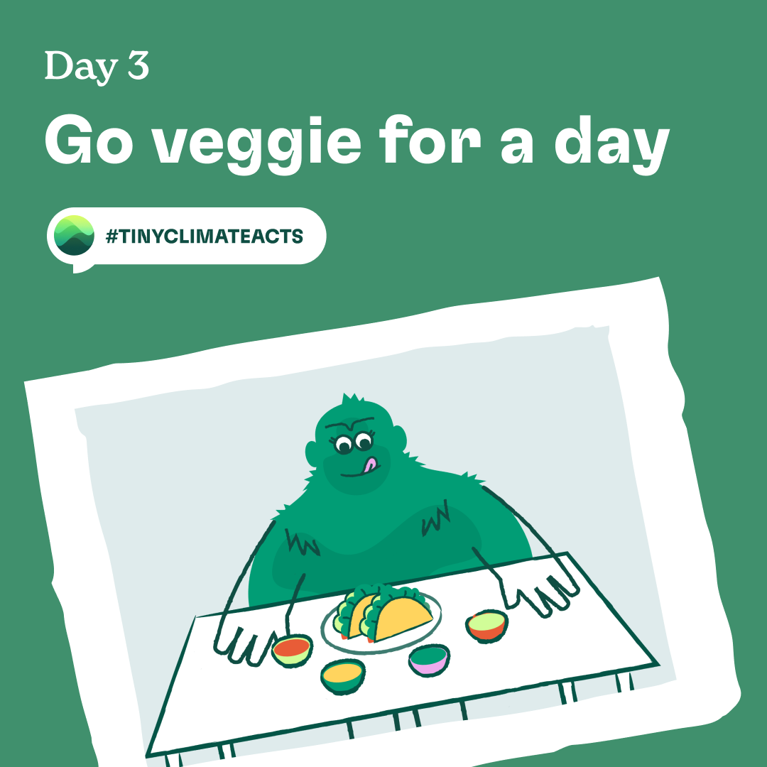 Day 3: Go veggie for a day