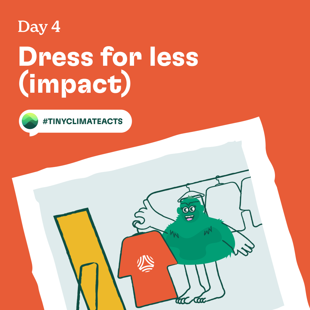 Day 4: Dress for less (impact)