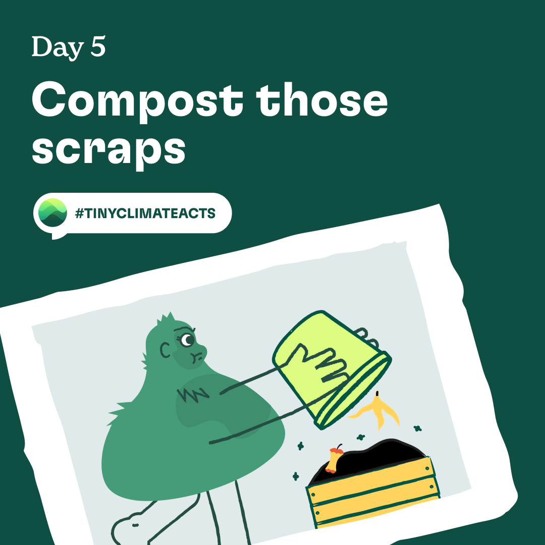 Day 5: Compost those scraps