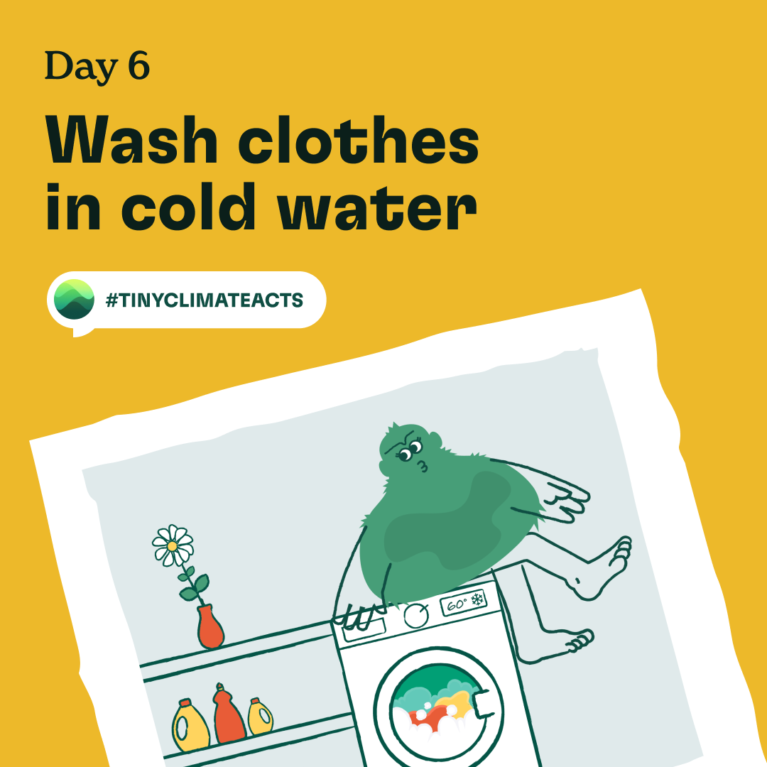 Day 6: Wash clothes in cold water