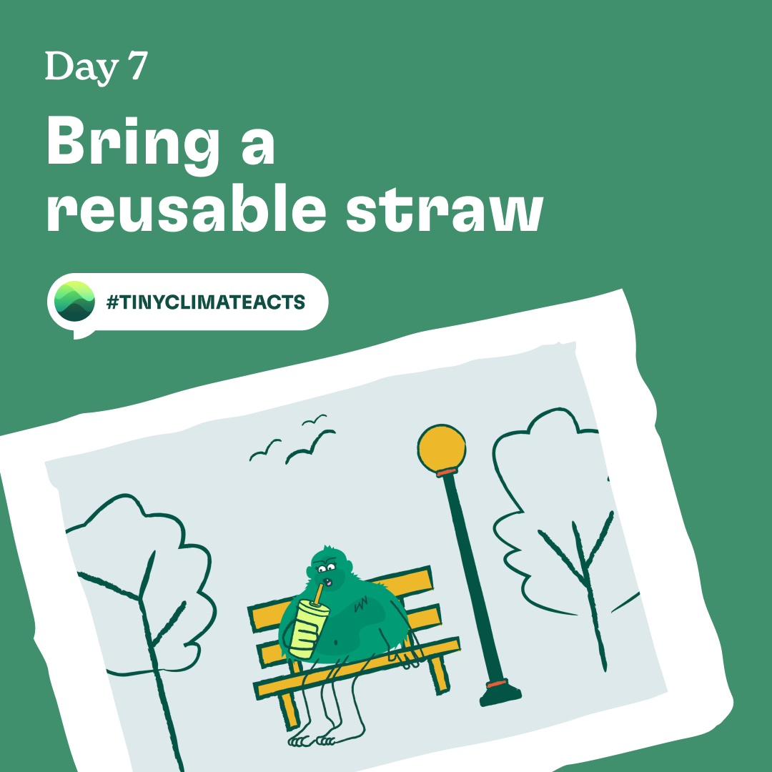 Day 7: Bring a reusable straw